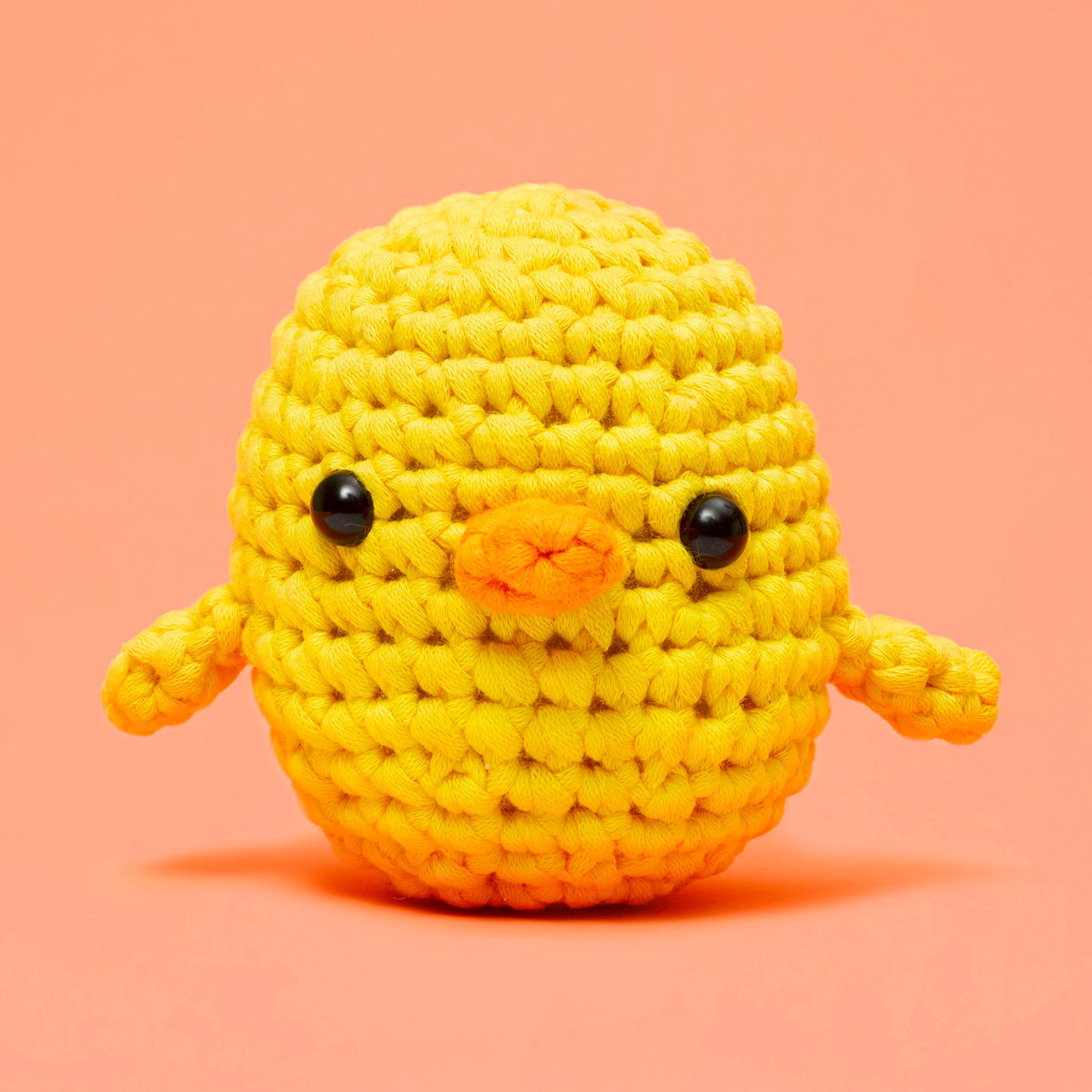 Easy Peasy Beginner Bundle